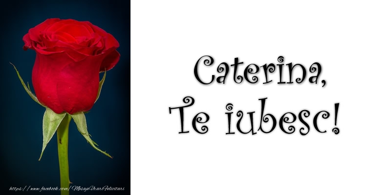 Felicitari de dragoste - Trandafiri | Caterina Te iubesc!