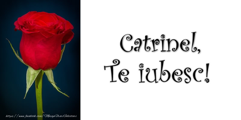 Felicitari de dragoste - Trandafiri | Catrinel Te iubesc!
