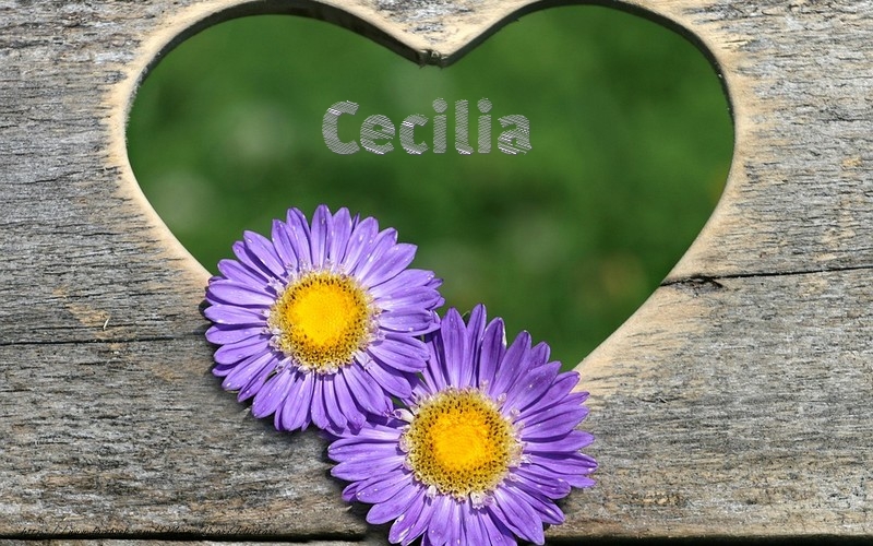 Felicitari de dragoste - Cecilia