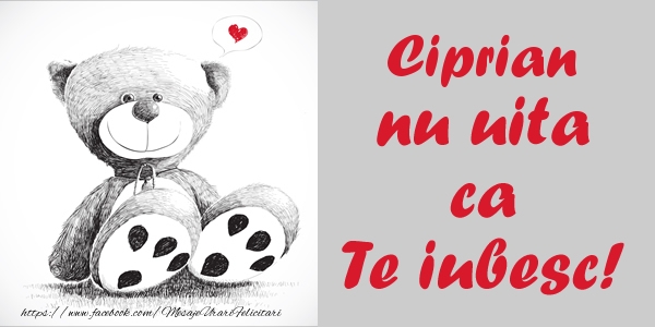 Felicitari de dragoste - Ursuleti | Ciprian nu uita ca Te iubesc!