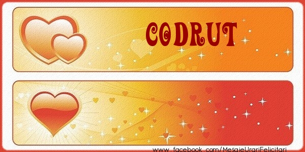 Felicitari de dragoste - Love Codrut