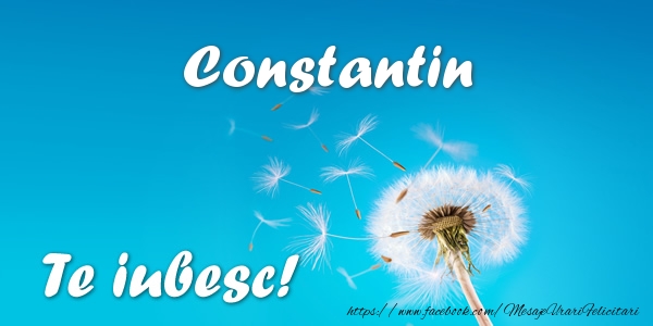 Felicitari de dragoste - Constantin Te iubesc!