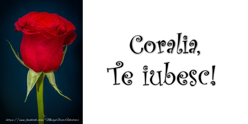 Felicitari de dragoste - Trandafiri | Coralia Te iubesc!