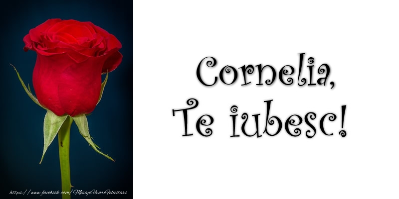 Felicitari de dragoste - Trandafiri | Cornelia Te iubesc!