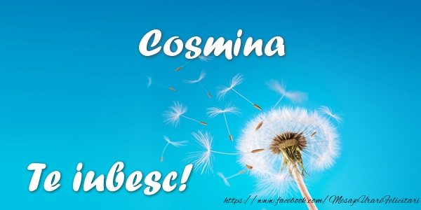 Felicitari de dragoste - Flori | Cosmina Te iubesc!