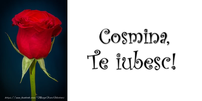Felicitari de dragoste - Trandafiri | Cosmina Te iubesc!