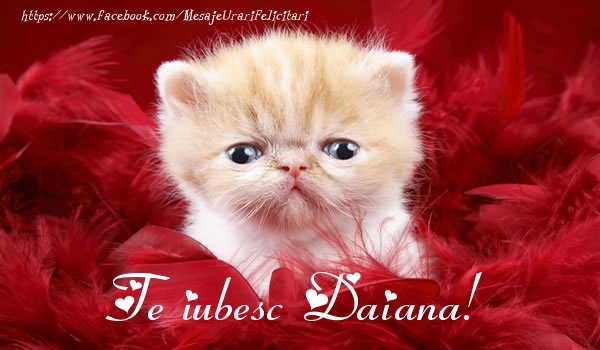 Felicitari de dragoste - Haioase | Te iubesc Daiana!