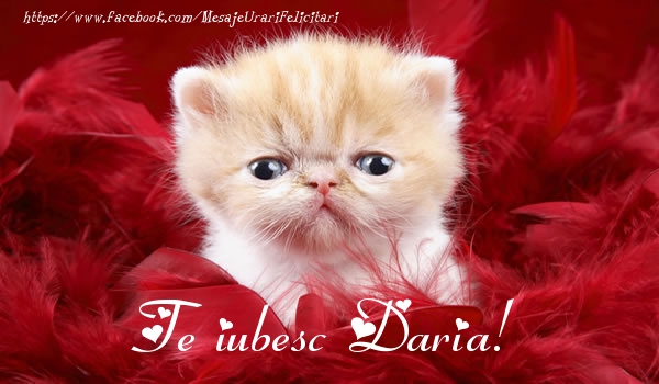 Dragoste Te iubesc Daria!