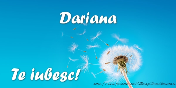 Felicitari de dragoste - Flori | Dariana Te iubesc!