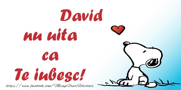 Felicitari de dragoste - David nu uita ca Te iubesc!