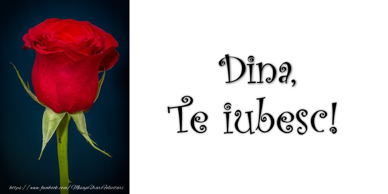 Felicitari de dragoste - Trandafiri | Dina Te iubesc!