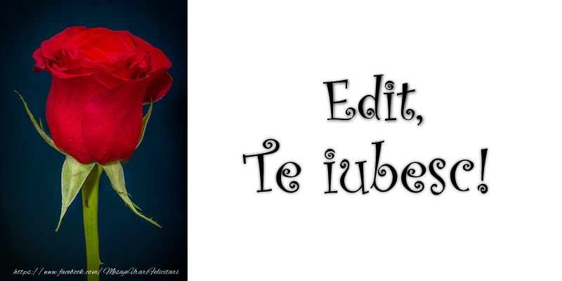 Felicitari de dragoste - Trandafiri | Edit Te iubesc!