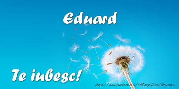 Felicitari de dragoste - Flori | Eduard Te iubesc!