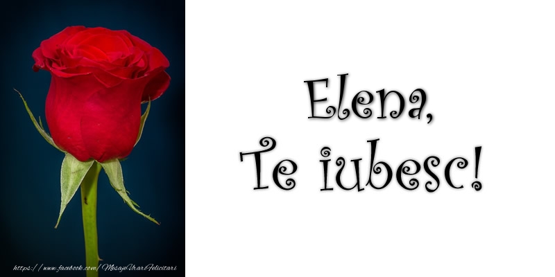Felicitari de dragoste - Trandafiri | Elena Te iubesc!