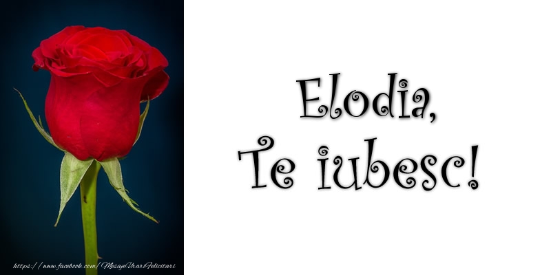 Felicitari de dragoste - Trandafiri | Elodia Te iubesc!