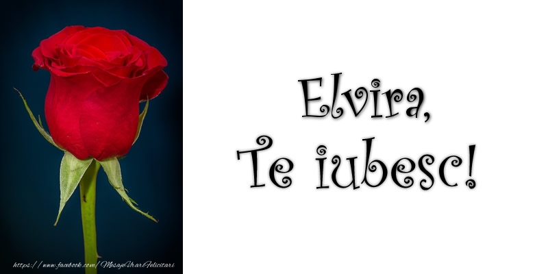 Felicitari de dragoste - Trandafiri | Elvira Te iubesc!