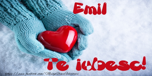 Felicitari de dragoste - Emil Te iubesc!