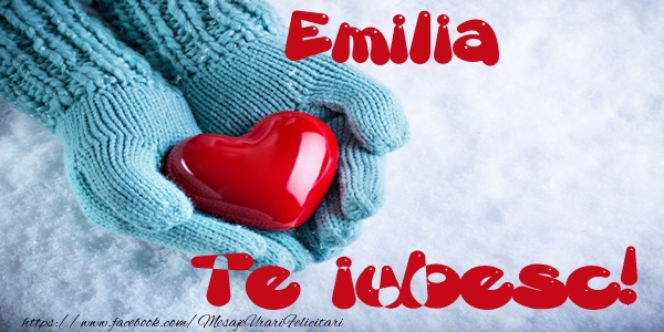 Felicitari de dragoste - Emilia Te iubesc!