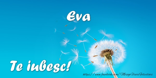  Felicitari de dragoste - Flori | Eva Te iubesc!