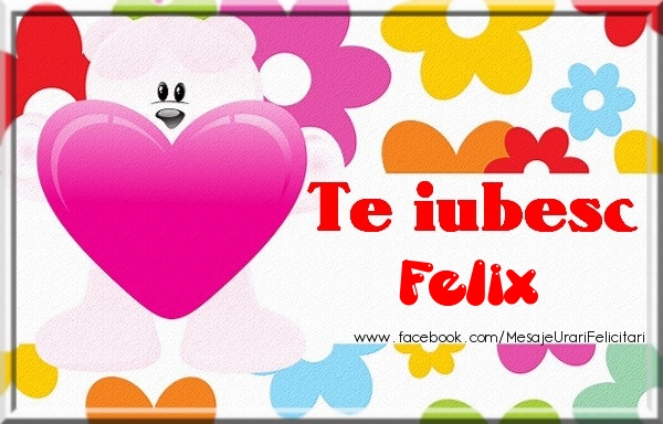 Felicitari de dragoste - Te iubesc Felix