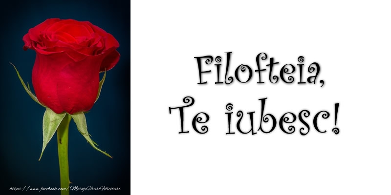  Felicitari de dragoste - Trandafiri | Filofteia Te iubesc!