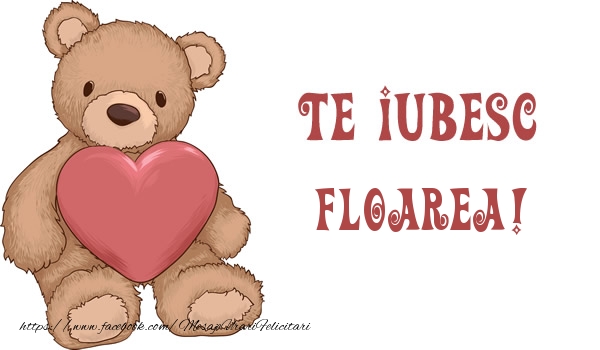 Felicitari de dragoste - Ursuleti | Te iubesc Floarea!