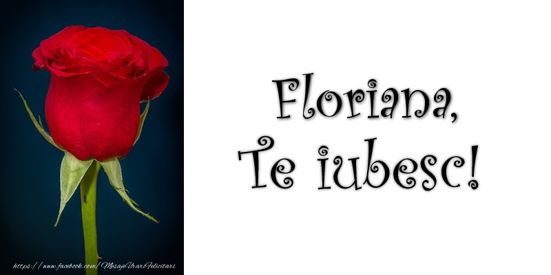 Felicitari de dragoste - Floriana Te iubesc!