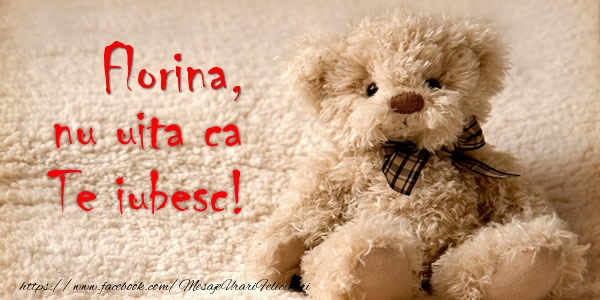 Felicitari de dragoste - Ursuleti | Florina nu uita ca Te iubesc!