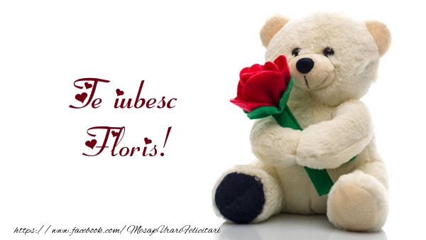 Felicitari de dragoste - Ursuleti | Te iubesc Floris!