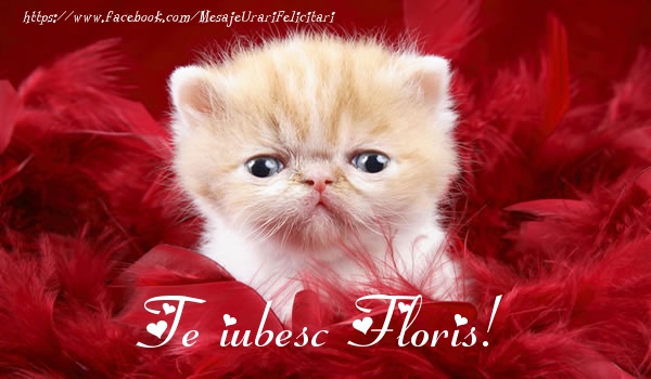 Felicitari de dragoste - Te iubesc Floris!