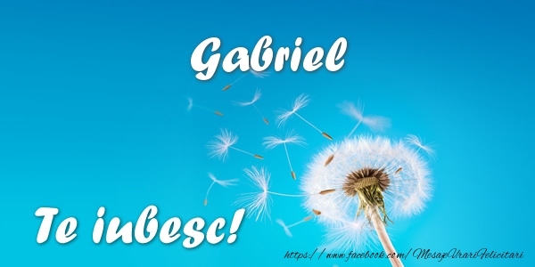 Felicitari de dragoste - Flori | Gabriel Te iubesc!