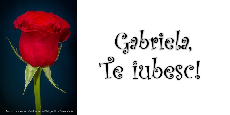i love you gabriela Gabriela Te iubesc!