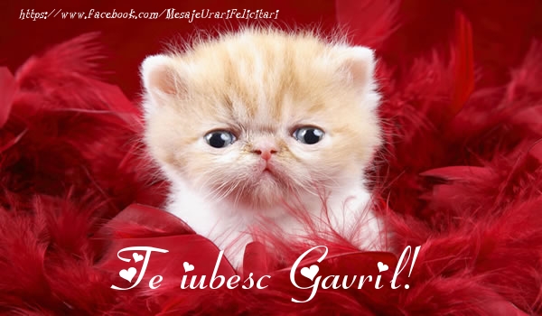 Felicitari de dragoste - Haioase | Te iubesc Gavril!
