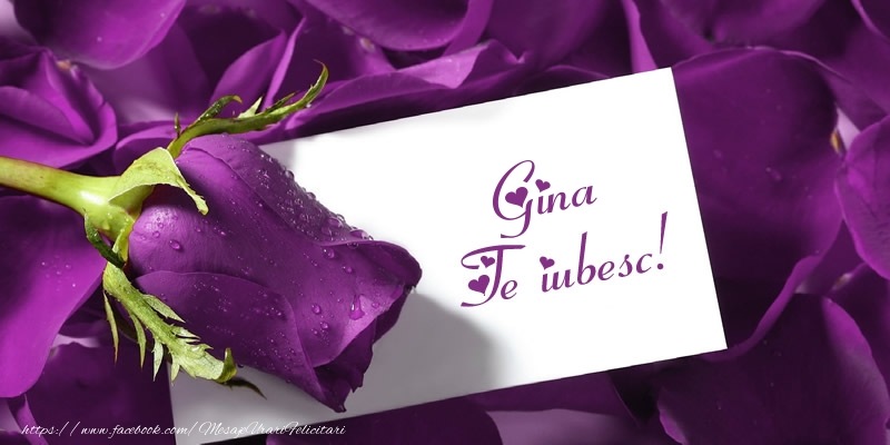 i love you gina Gina Te iubesc!