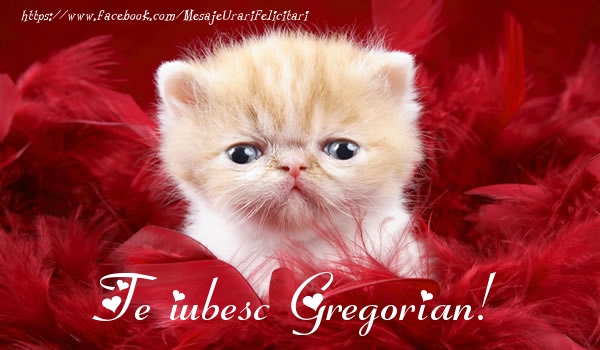Felicitari de dragoste - Te iubesc Gregorian!