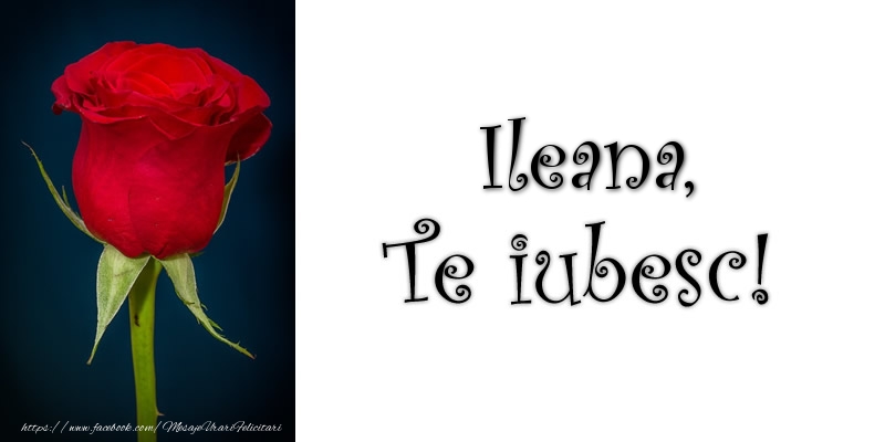 Felicitari de dragoste - Trandafiri | Ileana Te iubesc!