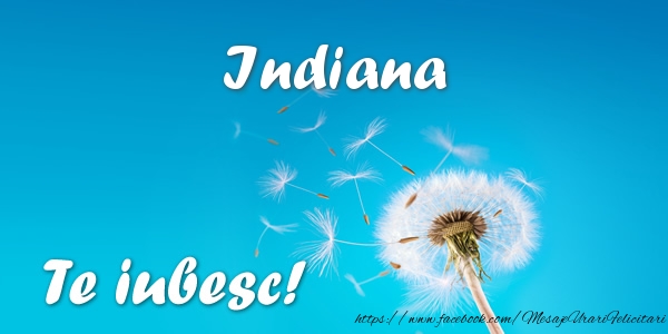 Felicitari de dragoste - Indiana Te iubesc!