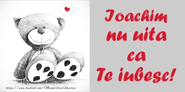 Felicitari de dragoste - Ursuleti | Ioachim nu uita ca Te iubesc!