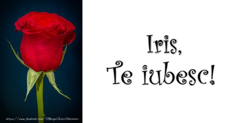 Felicitari de dragoste - Trandafiri | Iris Te iubesc!