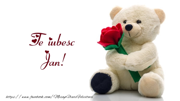 Felicitari de dragoste - Ursuleti | Te iubesc Jan!