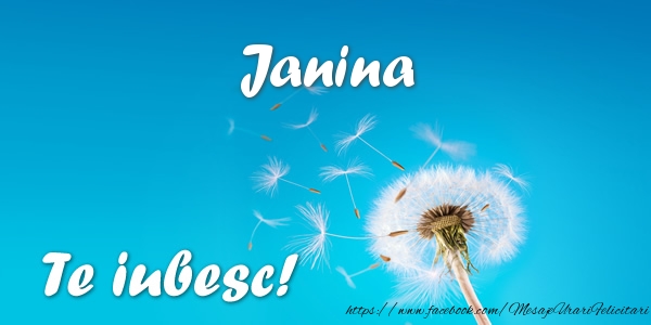 Felicitari de dragoste - Janina Te iubesc!