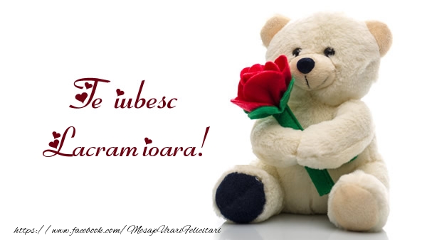 Felicitari de dragoste - Ursuleti | Te iubesc Lacramioara!