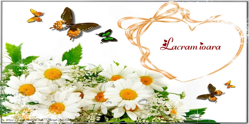 Felicitari de dragoste - I love you Lacramioara!