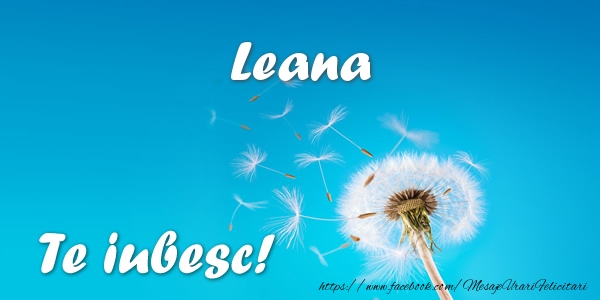Felicitari de dragoste - Leana Te iubesc!