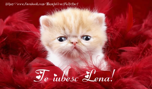 Felicitari de dragoste - Haioase | Te iubesc Lena!