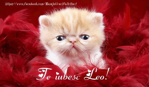 Felicitari de dragoste - Te iubesc Leo!
