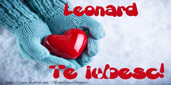 Felicitari de dragoste - Leonard Te iubesc!