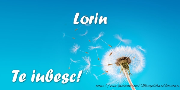 Felicitari de dragoste - Lorin Te iubesc!
