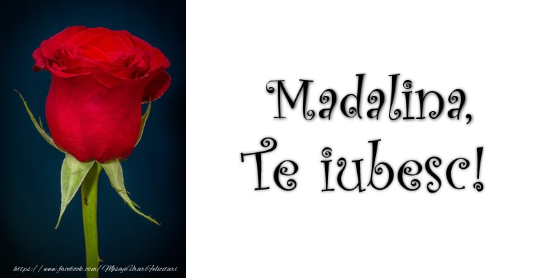 Felicitari de dragoste - Trandafiri | Madalina Te iubesc!