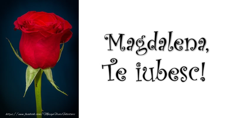 Felicitari de dragoste - Trandafiri | Magdalena Te iubesc!